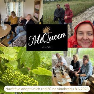 Mají svůj adoptovaný vinohrad🌿🍇🌿..... uprostřed Pálavy☀️🌿🍇☀️.....ale staráme se o něj my🚜🚜....a to ekologicky. Jsou to...